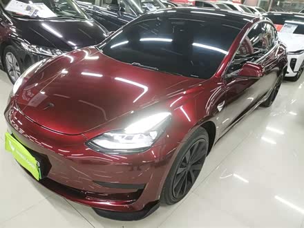 ֶ˹ Model 3 2021 ׼