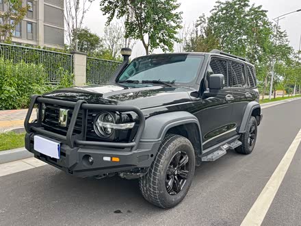 ݶ̹300 2021 ԽҰ 2.0T 