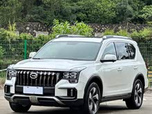 GS8 2020 GS8S 390T (q)A(lin)