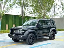 ̹300 2021 ԽҰ 2.0T ս