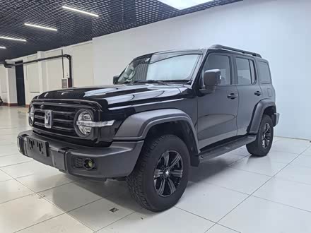 Ϋ̹ ̹300 2021 ԽҰ 2.0T 