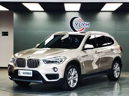 ����X1 2019�� sDrive20Li ������