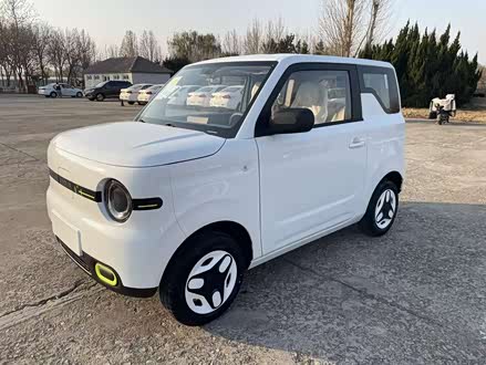 Ϋ�����ּ������� ��è 2025�� ��èmini 210km Ԫ����