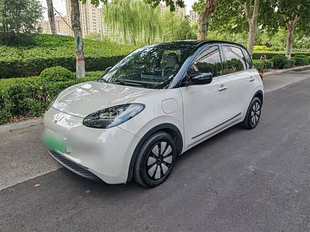 ׯ ͹ 2023 333km 