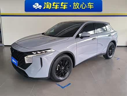 V 2021 260T 