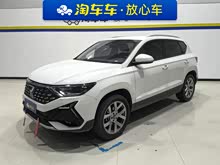 _(d)VS5 2023 280TSI Ԅ(dng)M(jn)ȡ