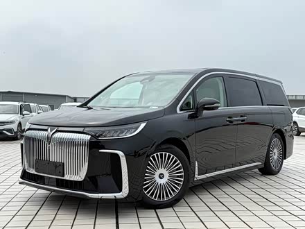 D(mng) 2025 PHEV (q)ŞHi