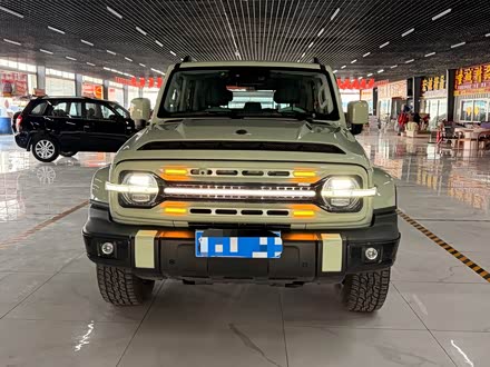 Ϋ̹ ̹300 2021 а 2.0T 