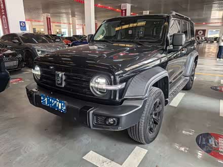 ̹300 2021 ԽҰ 2.0T 
