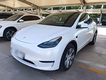 Model Y 2021 ׼