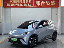 海鷗 2024款 榮耀版 305km 自由版
