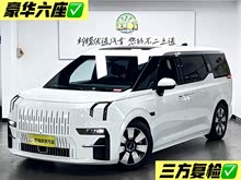 極氪009 2022款 WE版