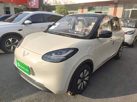 ���������������� �����͹� 2025�� 333km ������