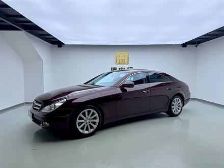�Ĵ����ֱ��� ����CLS 2009�� CLS 300