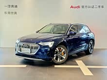 奥迪e-tron(进口) 2019款 55 quattro 时尚型