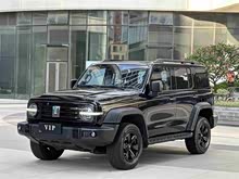 ̹300 2021 ԽҰ 2.0T 