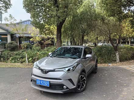奕泽IZOA 2020款 2.0L 奕驰版