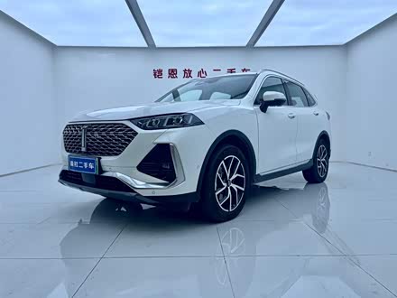 拿铁DHT-PHEV 2022款 1.5T 四驱超大杯