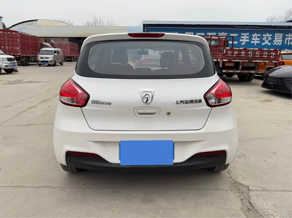BAOJUN 310