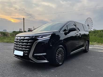 腾势D9 2022款 DM-i 1040 尊贵型