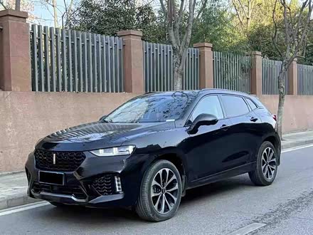 魏牌 VV7 2019款 升级款 2.0T 超豪型 国V