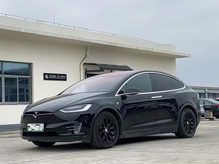 Model X 2017款 Model X 100D 长续航版