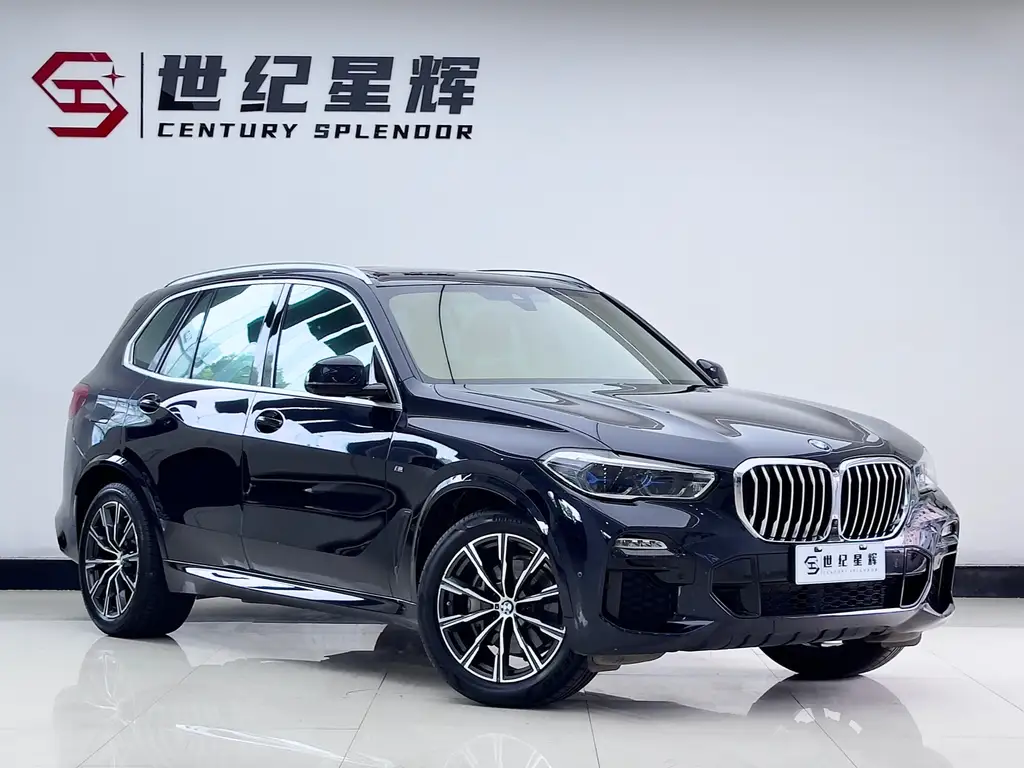 BMW  X5