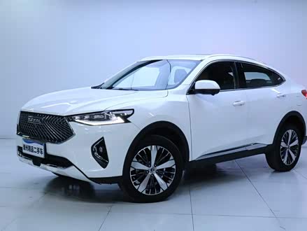 哈弗F7x 2019款 1.5T 两驱极智潮玩版