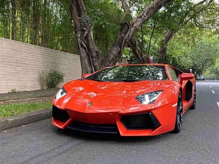 Aventador 2011款 LP 700-4
