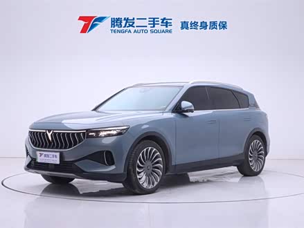 岚图FREE 2021款 四驱增程首发纪念版专属豪华套装