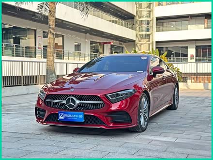 奔驰CLS 2020款 CLS 300 动感型