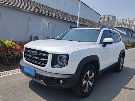 哈弗大狗 2021款 1.5T DCT两驱拉布拉多版