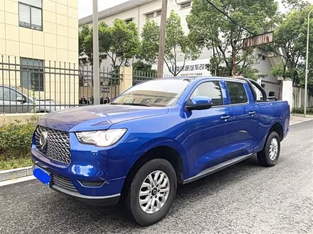 炮 2021款 2.0T商用版自动汽油两驱精英型长箱GW4C20B