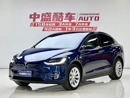 Model X 2020款 长续航升级版