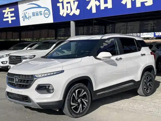 BAOJUN  510 2019