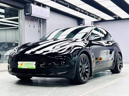 Model Y 2022款 Performance高性能全轮驱动版