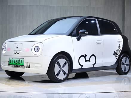 欧拉黑猫 2022款 301km 萌宠版 磷酸铁锂