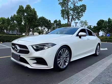 奔驰CLS 2020款 CLS 300 动感型