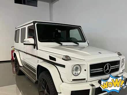奔驰G级AMG 2013款 AMG G 63