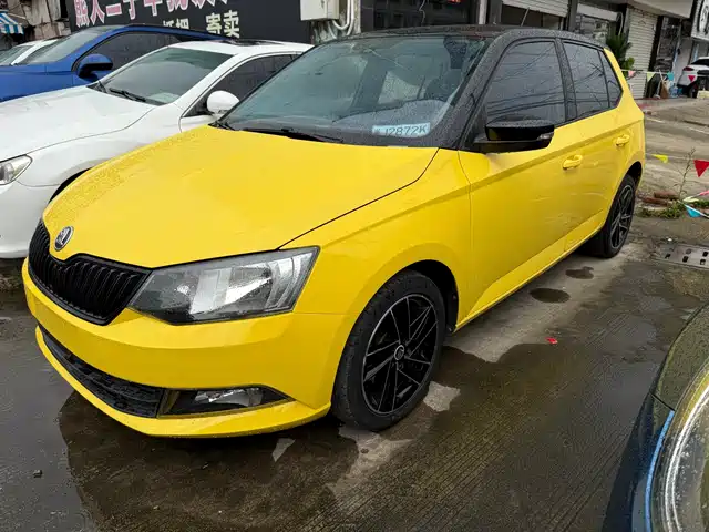SKODA JINGRUI 2017