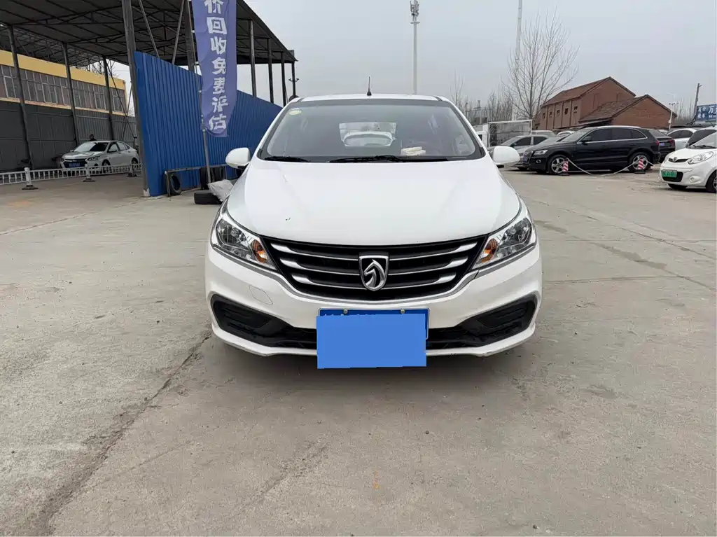 BAOJUN 310