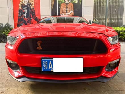 Mustang 2015款 2.3T 50周年纪念版