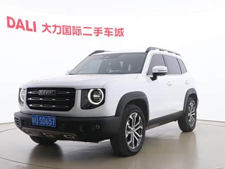 哈弗大狗 2021款 1.5T DCT两驱边牧版