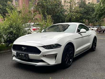 Mustang 2015款 2.3T 性能版