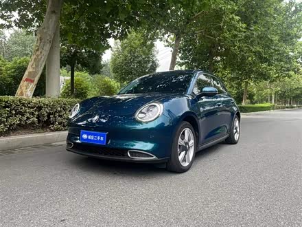 欧拉好猫 2023款 401km标准续航 舒享型 磷酸铁锂