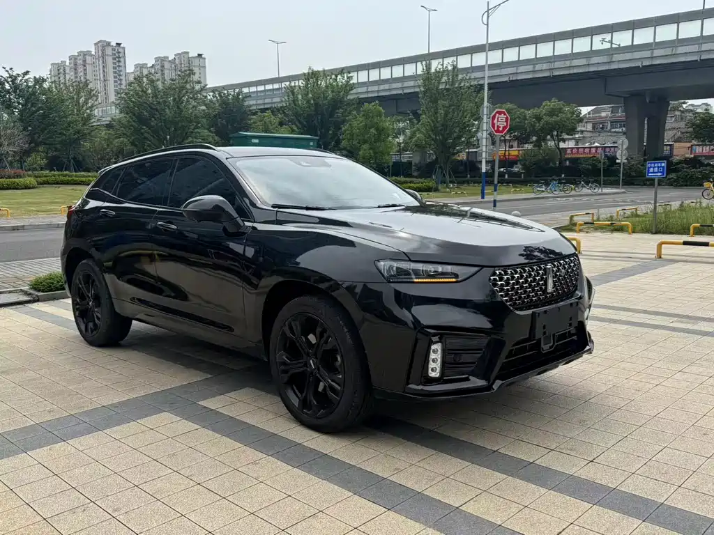 WEI PAI WEI BRAND VV7