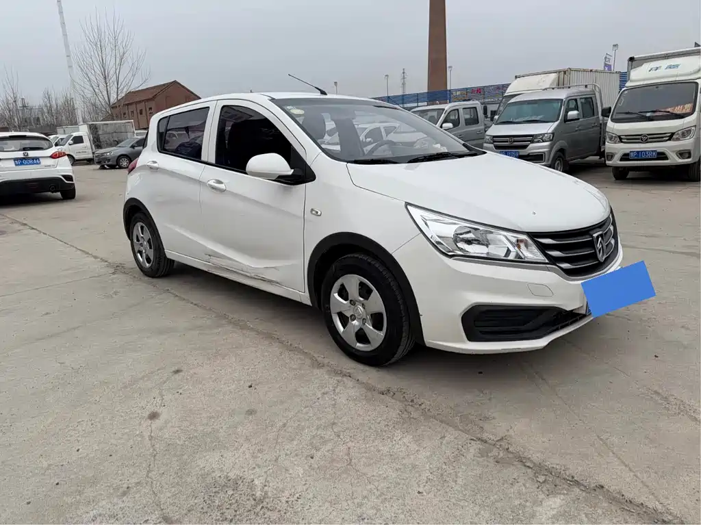 BAOJUN 310