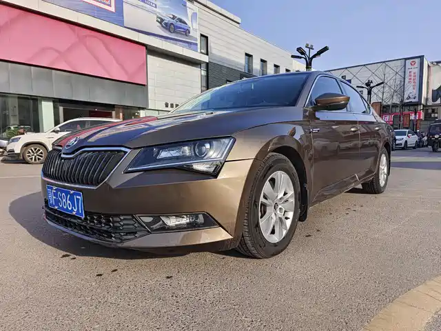 SKODA SPEED PIE 2017