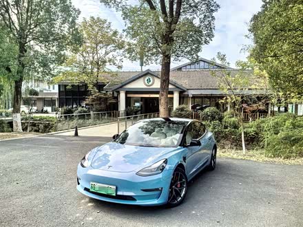 Model 3 2022款 Performance高性能全轮驱动版
