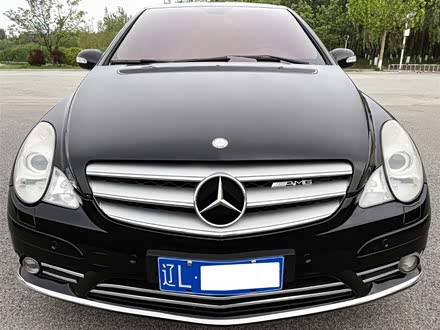 奔驰R级 2010款 R 350 L 4MATIC Grand Edition